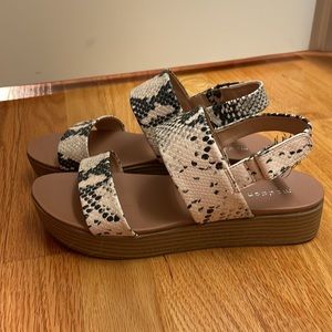 Madden Girl Snake Skin Platform Sandals
